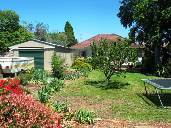 Peace And Tranquillity On A 1/4 Acre Block Picture 2