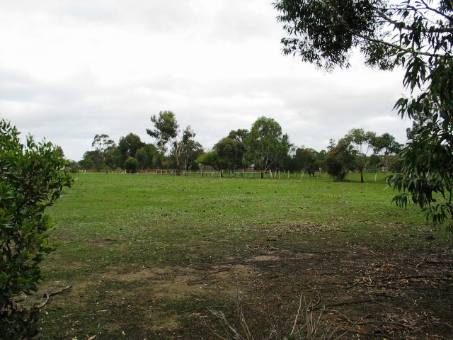 Vacant Acres - Create Your Dream Home Here Picture 1