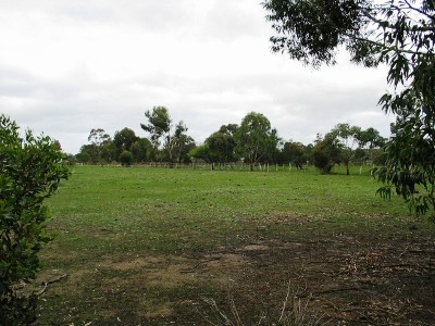 Vacant Acres - Create Your Dream Home Here Picture