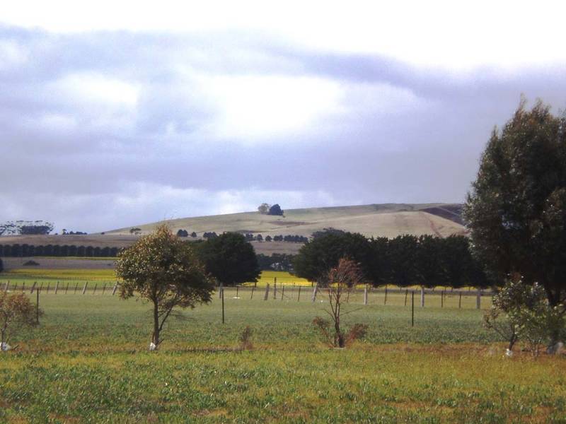 Lifestyle And Comfort On 8 Acres Picture 2