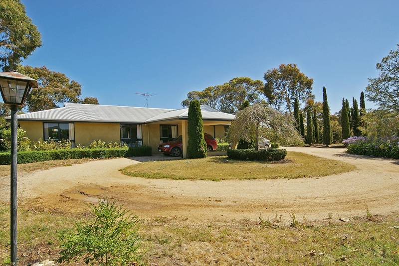 Fun & Relaxing Lifestyle Picture 1