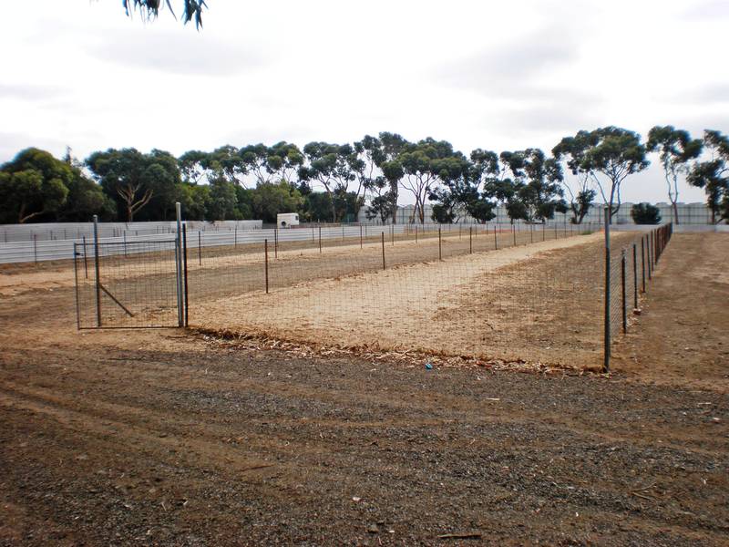 Kennels + Hobby Farm on 5 Acres Picture 3
