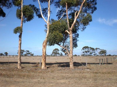 10 Acres - Convenient Location Picture