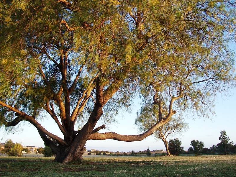 Boutique Subdivision Picture 2