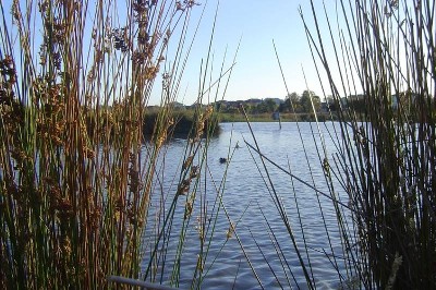 Canterbury Lakes Estate Picture