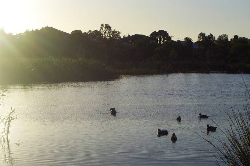 Canterbury Lakes Estate Picture 2