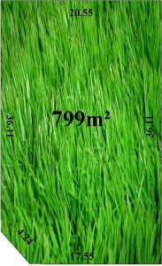 Bargain in Heritage Springs Picture