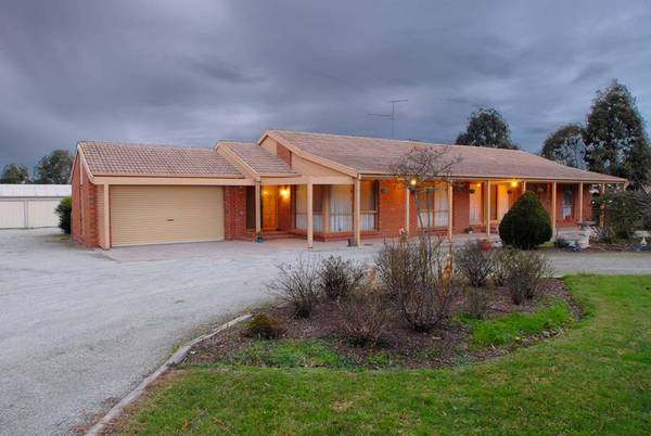 Family Fun! Picture 1