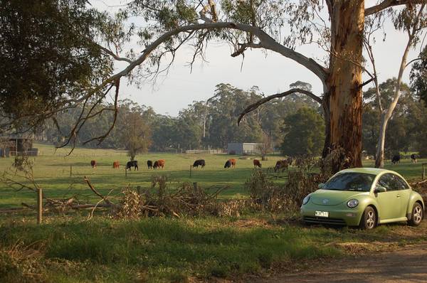 Over an acre of tranquillity in Drouin Picture 1