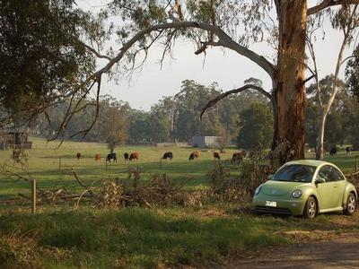 Over an acre of tranquillity in Drouin Picture Over an acre of tranquillity in Drouin Picture