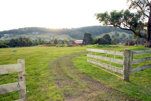 Large Living on 4 Acres Picture 3