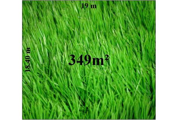 DESPERATE SALE! Picture 3