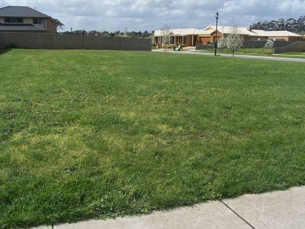 Quick sale Picture 1