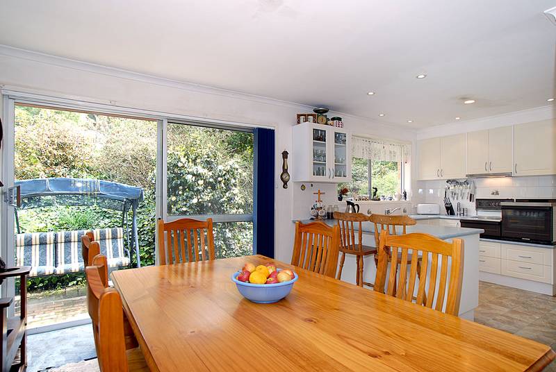 10 Acres With Views Picture 3