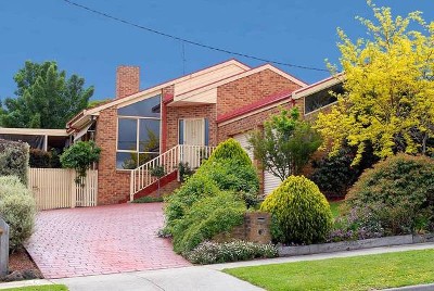 Perfect in every way! Picture