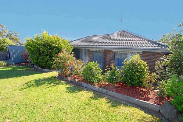 Northern Special Picture 1