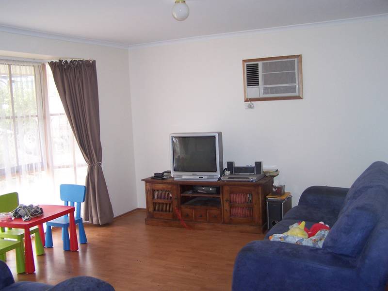 Everything on Offer Picture