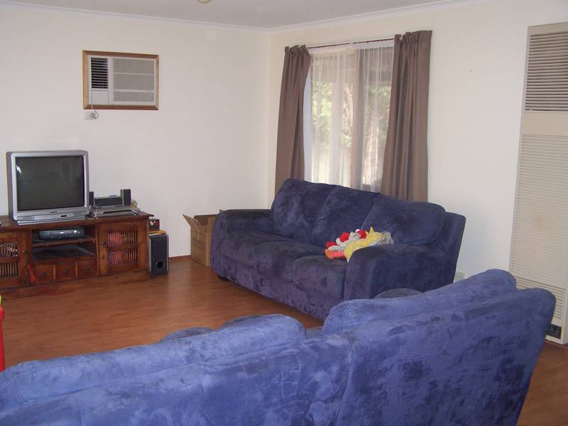 Everything on Offer Picture