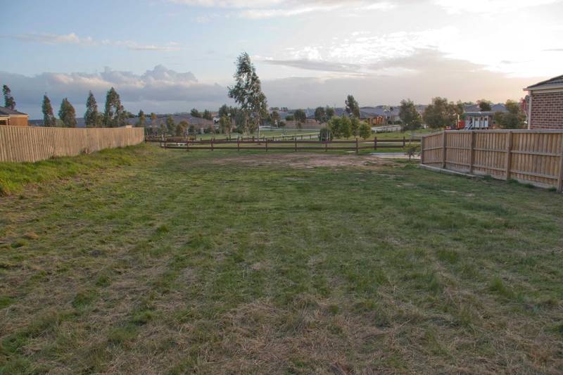 An amazing opportunity Picture 1