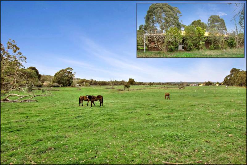 Land of opportunity's Picture 1