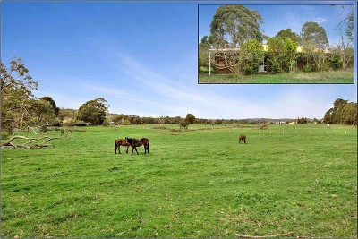 Land of opportunity's Picture