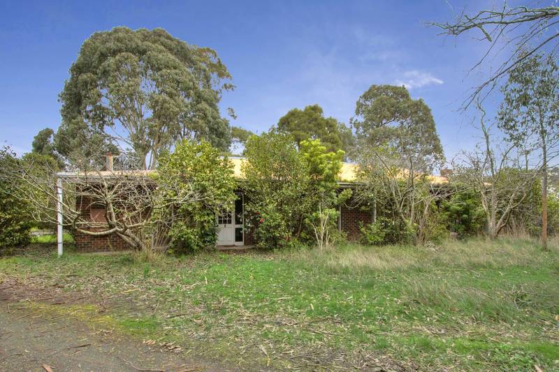 Land of opportunity's Picture 2