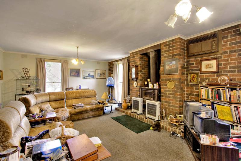 Land of opportunity's Picture 3