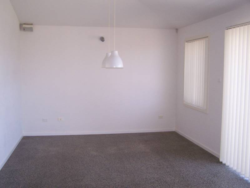 SOMETHING FUNKY! Picture 2