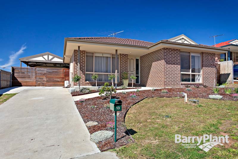 Young Entertainer Picture 1