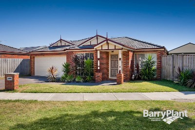 Price, Presentation & Position Picture