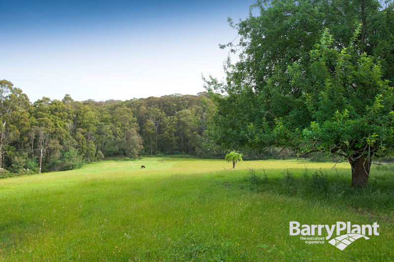 Picturesque 18 acres with house and cottage Picture 2