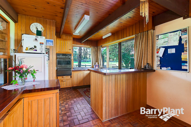 Calling all Horse Enthusiasts! Picture 3