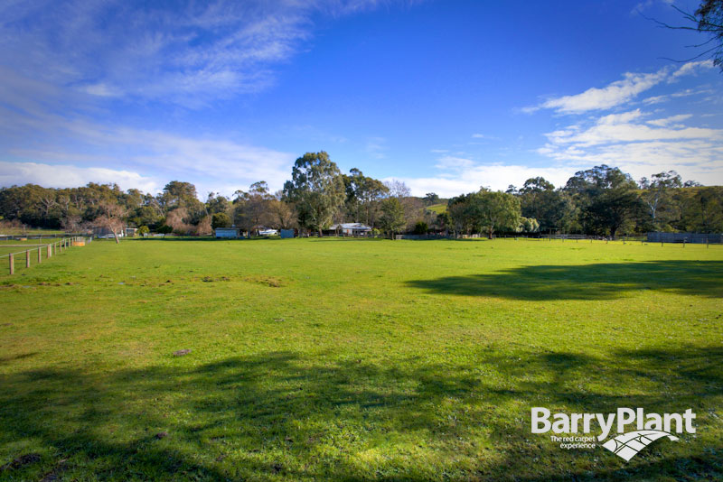 Calling all Horse Enthusiasts! Picture 2