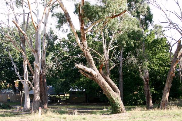 House and Land Package Picture House and Land Package Picture