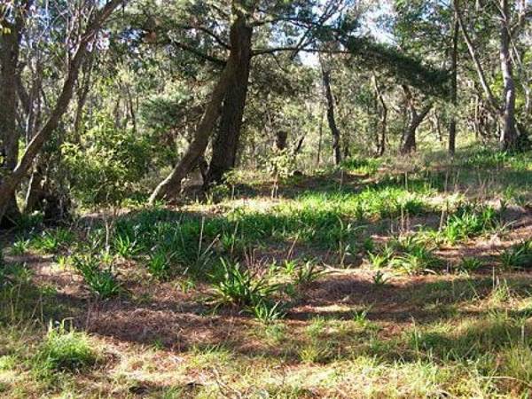 Rural Retreat Picture 1