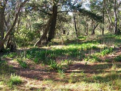 Rural Retreat Picture