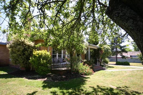 A piece of Country in the City Picture 2