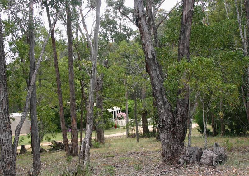 Magnificent Rural Setting - Just 10minutes from Ballarat CBD Picture 3