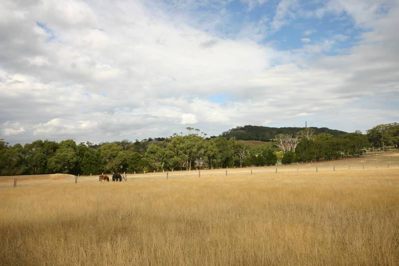9 Acres in Buninyong Picture 2