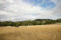 9 Acres in Buninyong Picture
