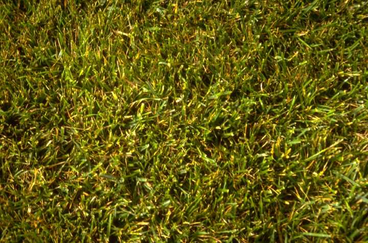 1000m2 approx
Development Site Picture 1