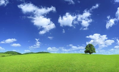 Build your dream home here Picture Build your dream home here Picture