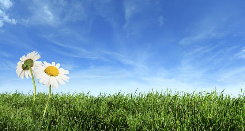 15 acres in Lal Lal Picture 1