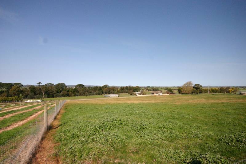 Country Paradise Picture 3