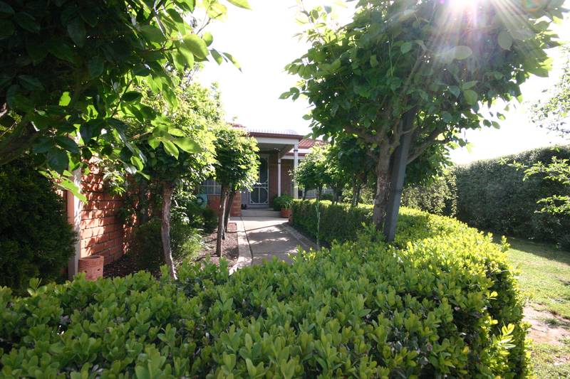 Dream Family Home Picture 2