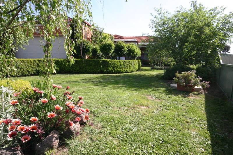 Dream Family Home Picture 1