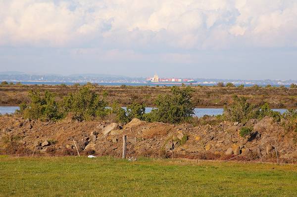 Truly magnificent position overlooking the wetlands Picture 2
