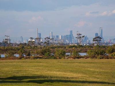 Truly magnificent position overlooking the wetlands Picture