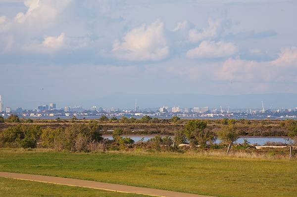 Truly magnificent position overlooking the wetlands Picture 3