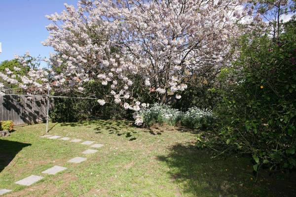 Diverse Opportunities Await! Picture 2